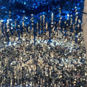 Beautiful sequined cocktail dress.